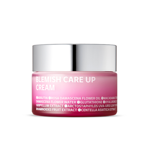 [SOI] BLEMISH CARE UP CREAM 55ML